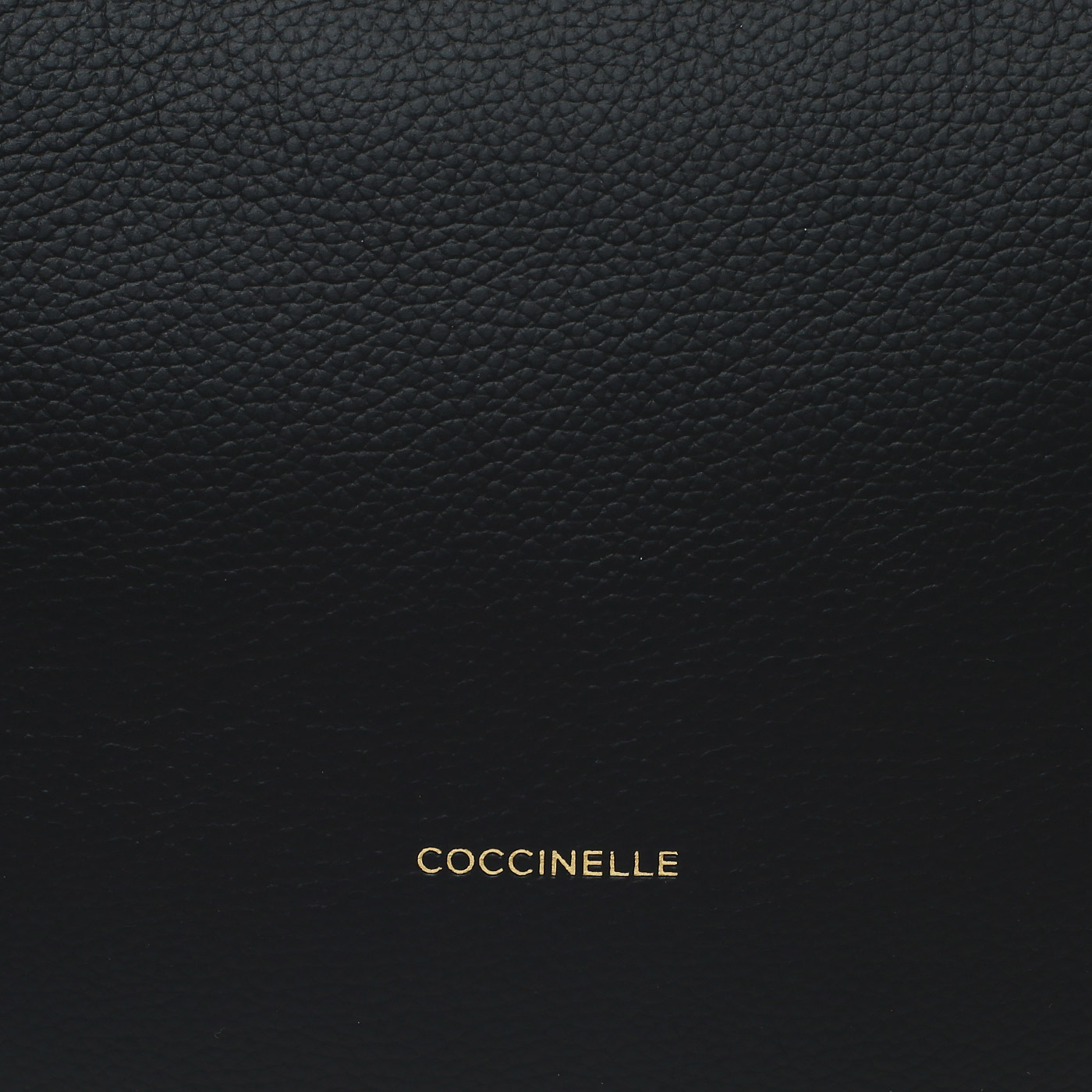 Кожаная сумка Coccinelle CoccinelleSunup